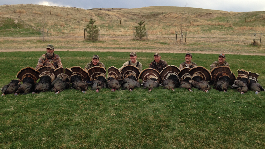 neb turkey big