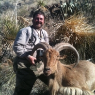 aoudad_3