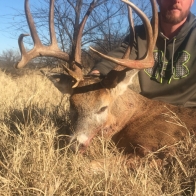 oklahoma_whitetail_50