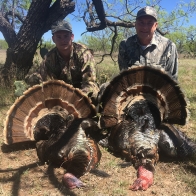 texas_turkey_3