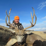 mule_deer_wyoming_10