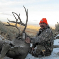 mule_deer_wyoming_11