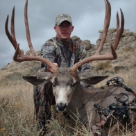 mule_deer_wyoming_6