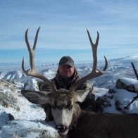 mule_deer_wyoming_7