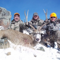 mule_deer_wyoming_8